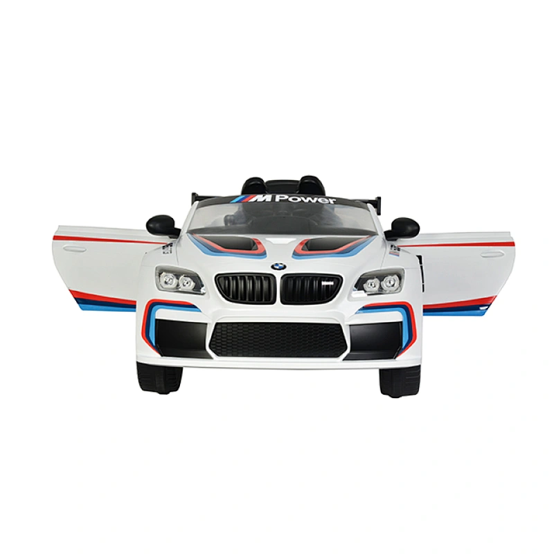 Licenced BMW M6 GT3