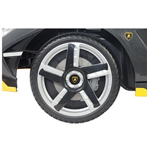 Lamborghini con licenza