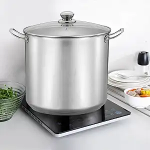 30 cm stainless steel stockpot