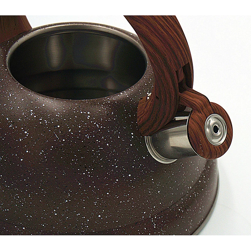 Perfect Heat Distribution Stainless Steel Whistling Kettle
