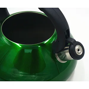 Amazing design stainless steel whistling kettle