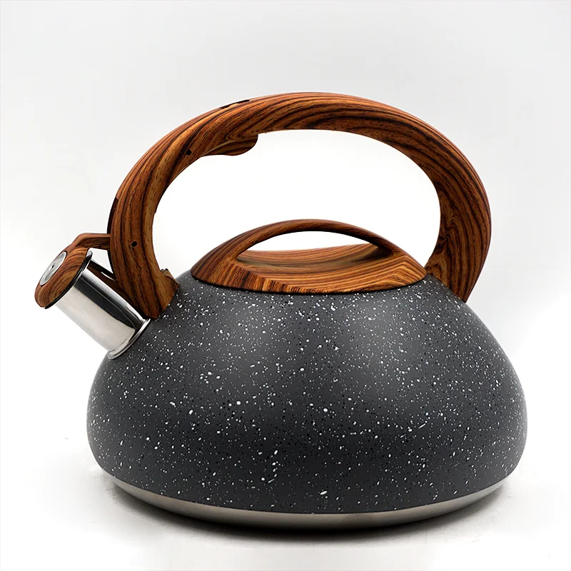 New Style Stainless Steel Whistling Kettle