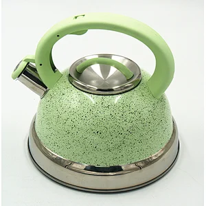 Color painting stainless steel whistling kettle