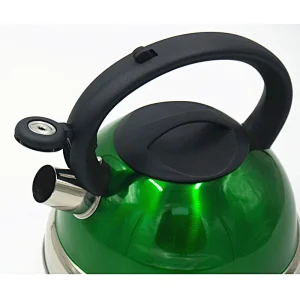 Colorful surface stainless steel whistling kettle
