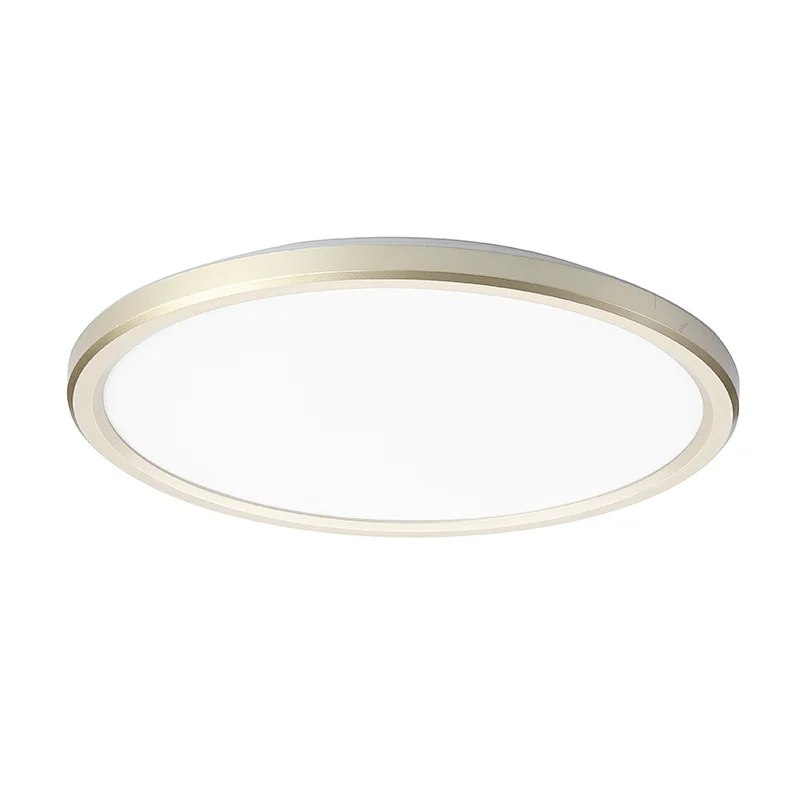 LED Ceiling Light For Household, Back Light