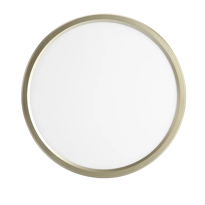 LED Ceiling Light For Household, Back Light