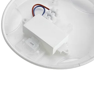 LED Ceiling Light For Household, Back Light