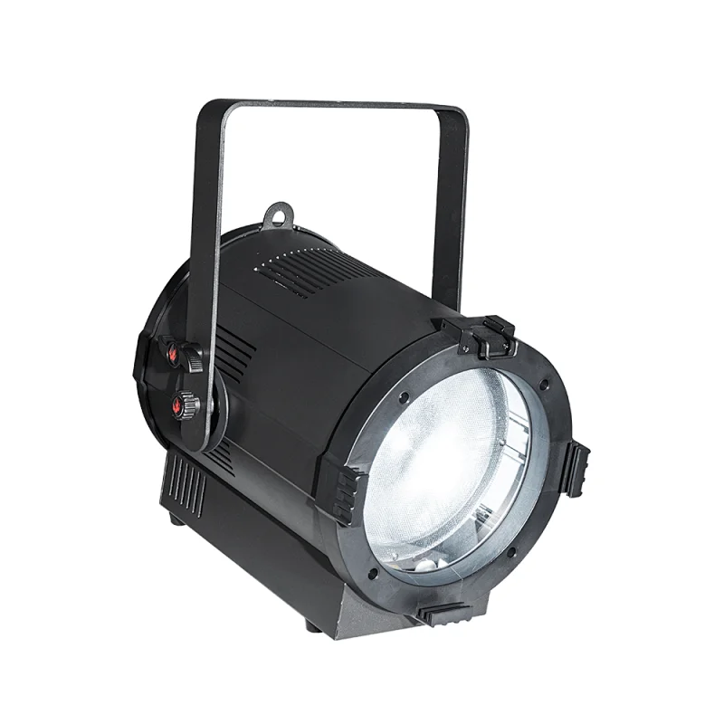 Pioneer 200 Zoom
