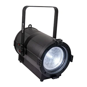 Pioneer 300 zoom
