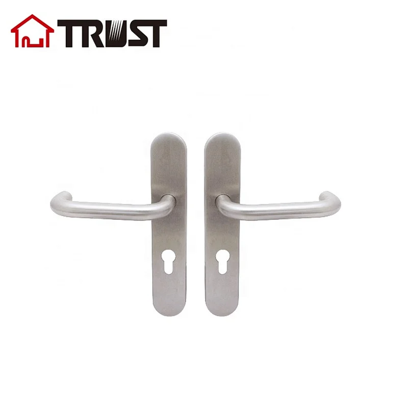 TRUST TP01-R72EUTH001SS Hollow Stainless Steel Lever Type Door Handle with Plate