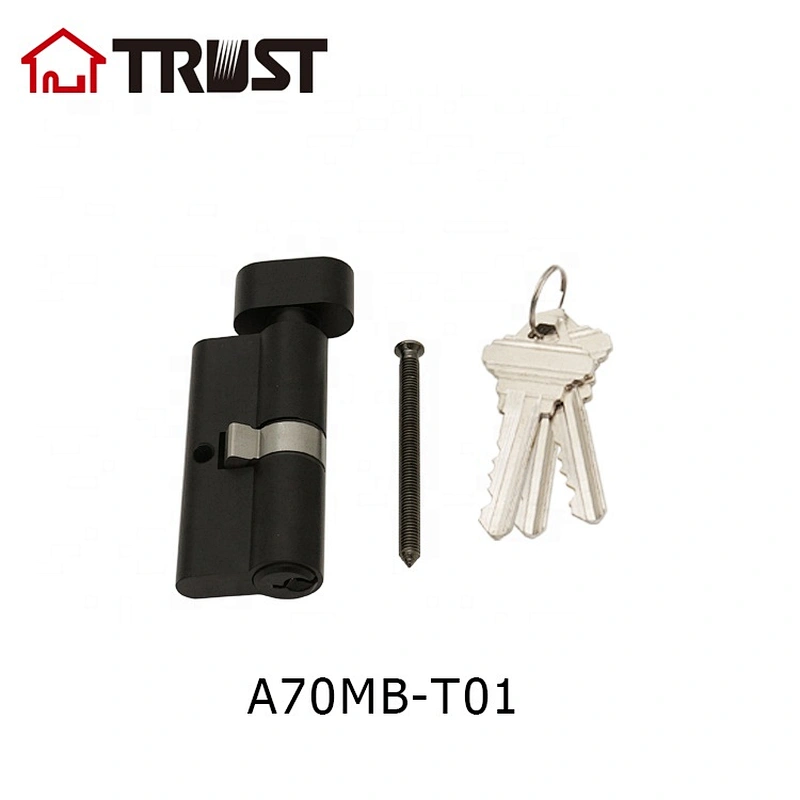 华信A70MB-T01 单开欧标锁芯 普通匙电脑匙葫芦纯铜锁芯 房门功能浴室功能可选