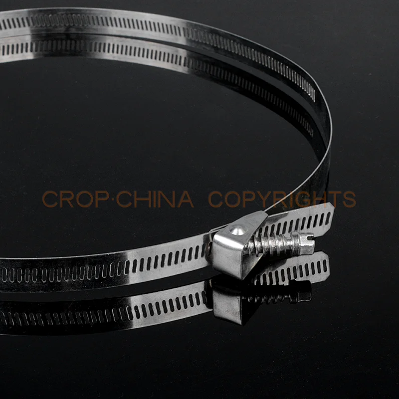 Stainless Steel Band & Buckle