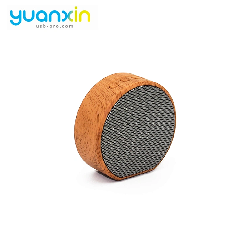 Short Time Delivery Reasonable Price speaker