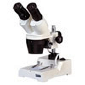 Microscópio estéreo