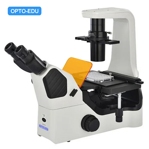 Microscópio fluorescente LED invertido, B,G,U