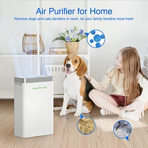 Home Ionic Air Purifier