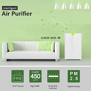 Best Ionic Air Purifier