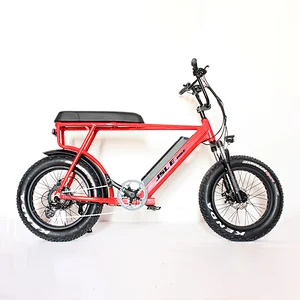 (JSL039D) Hot sale big motor new arrival 20 inch 48v 1000w fat tires snow electric bicycle electric bike ebike