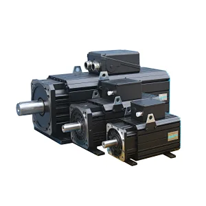 Phase(Physis) Servo Motor