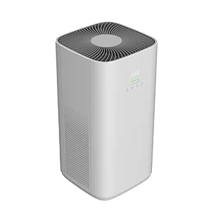 Air And Dust Purifier