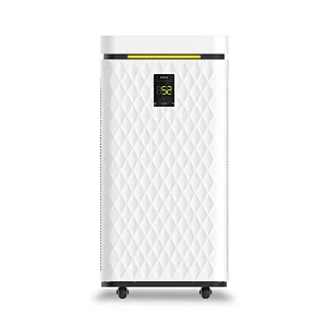 HEPA Air Purifier Canada