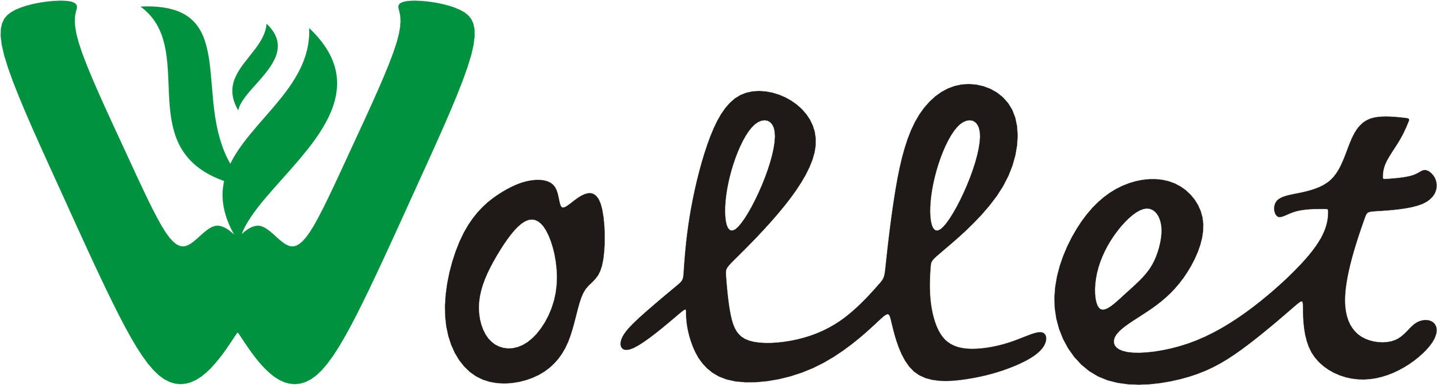 Bicycle/Bikes and accessories , Manufacturer Wollet