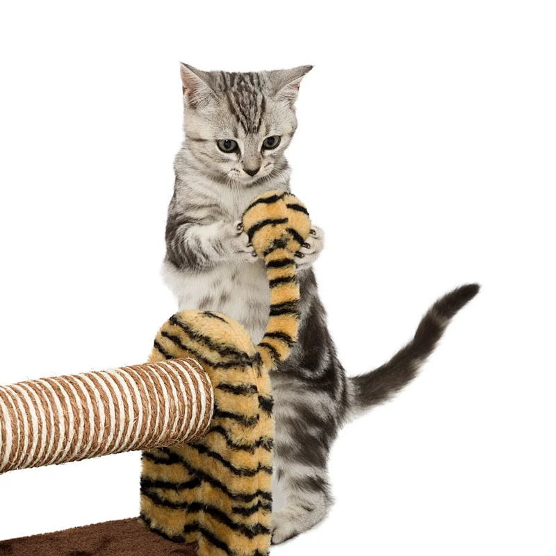 Lu scratcher tiger