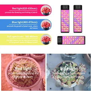 Commercial Hydroponic LED Plant Light Indoor Full Spectrum LED Grow Light with Stand