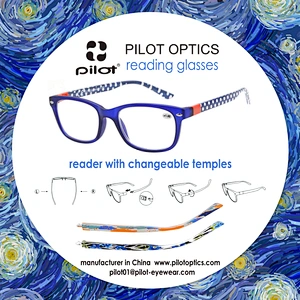 Reading Glasses With Changeable Temples