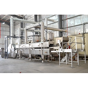 Cashew nut Frying Product Line