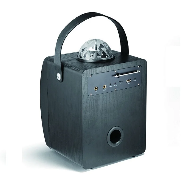 Wood Party Speaker