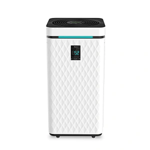 HEPA Air Purifier Canada