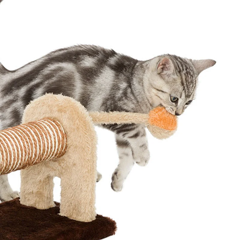 Lu scratch Lion