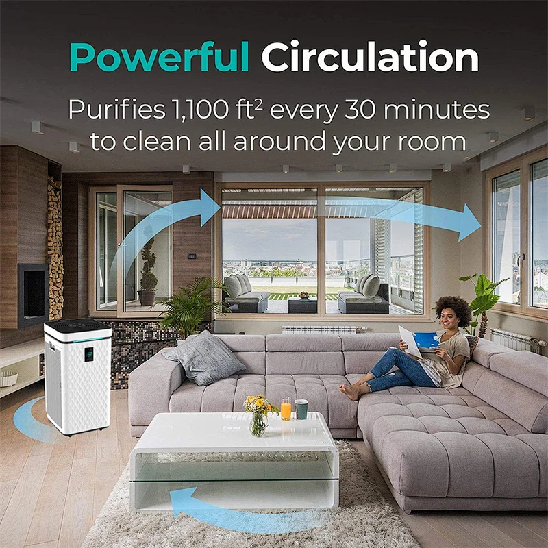 Air Purifier For Big Rooms