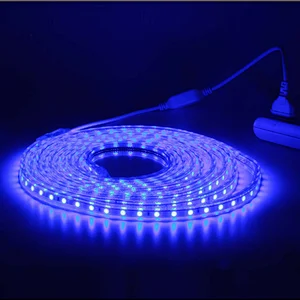 AC230V Household Voltages Linear Lighting LED Strip Light 5050 RA80 Outdoor And Indoor Waterproof IP65 CE RoHs Flexible Lighting