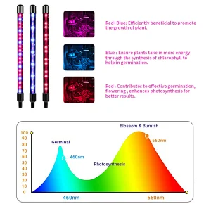 2021 Small Home Dimmable USB Control Plants Seedings Flower Indoor Professional Full Spectrum Hydroponic LED Grow Light
