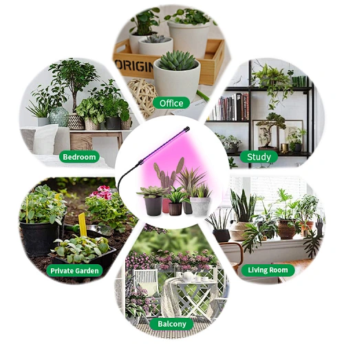 2021 Small Home Dimmable USB Control Plants Seedings Flower Indoor Professional Full Spectrum Hydroponic LED Grow Light