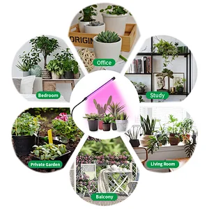 2021 Small Home Dimmable USB Control Plants Seedings Flower Indoor Professional Full Spectrum Hydroponic LED Grow Light