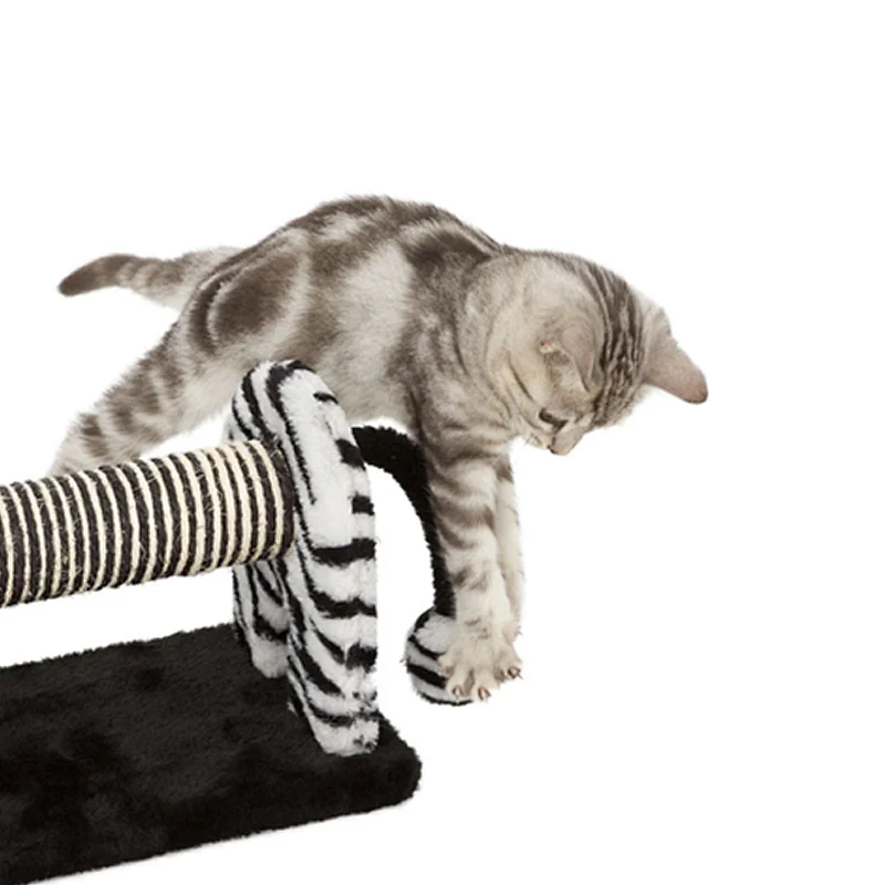 Lu scratch zebra