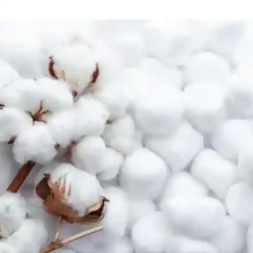 Sterile surgical cotton wool balls