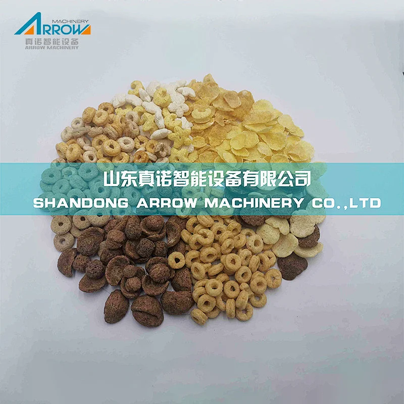 Cornflakes Producing Plant
