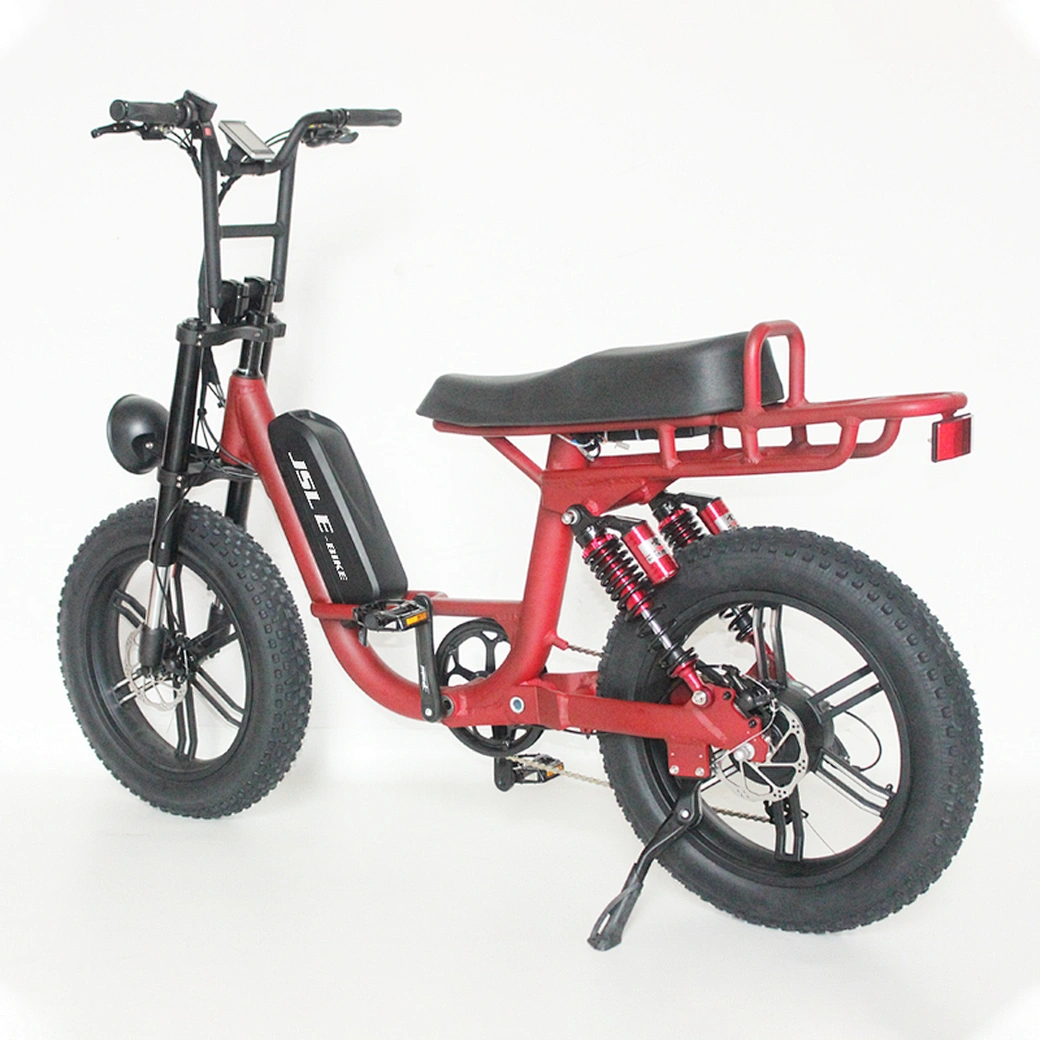 electric bicycle rear suspension