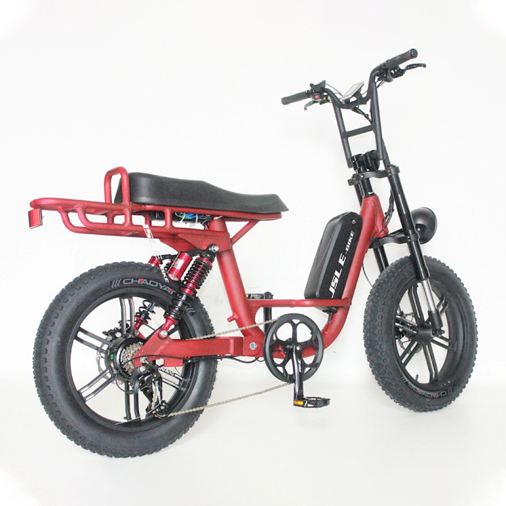 20 inch fat tire ebike full suspension