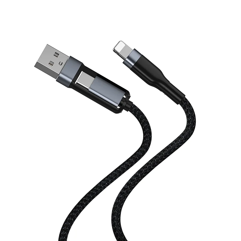 2 IN 1 Lightning cable