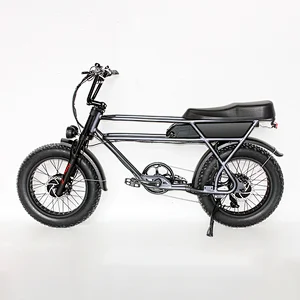 (JSL039MM) Modern Design Ultral Power Dual 750w Bafang Motors 20 inch fat tire snow electric bicycle electric bike ebike beach cruiser