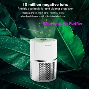 Mini Ionic Air Purifier
