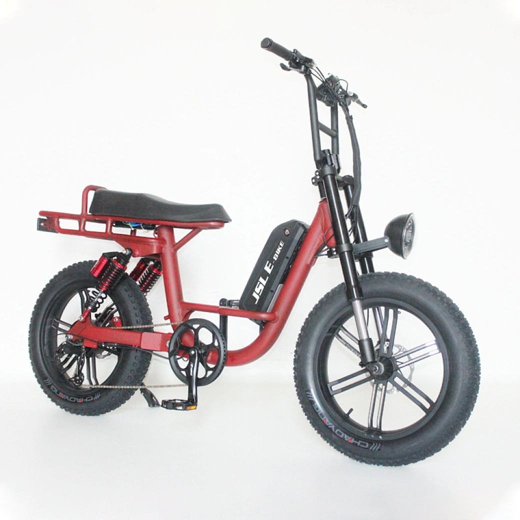 ebike motor 48v