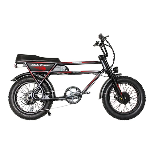 (JSL039MM) Modern Design Ultral Power Dual 750w Bafang Motors 20 inch fat tire snow electric bicycle electric bike ebike beach cruiser