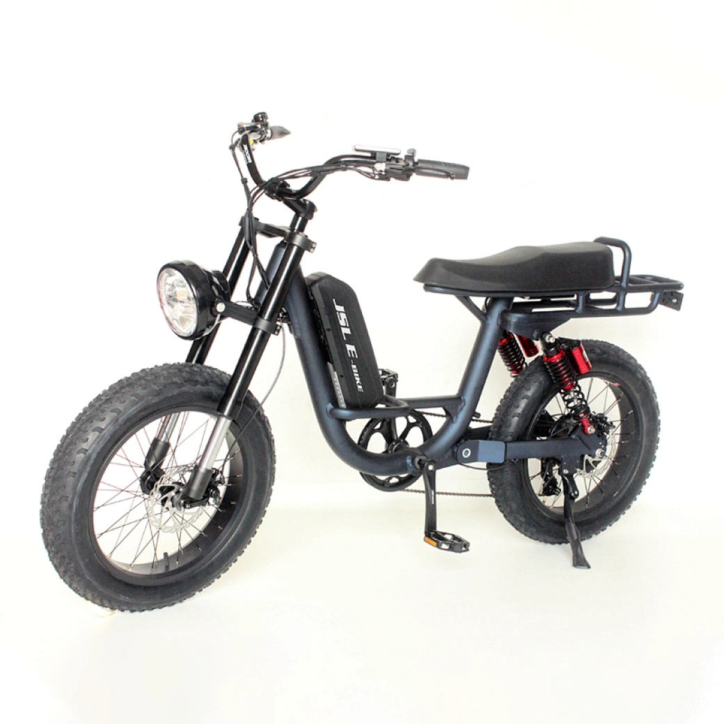 china fat tire ebike manufacturers