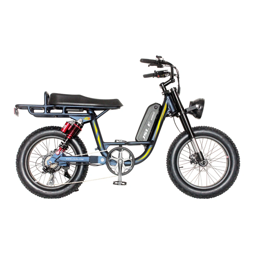 China fat tire ebike cheap